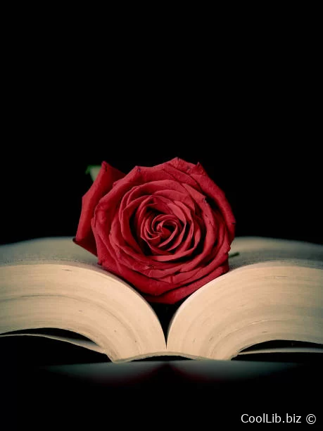 Бесплатная Электронная Книга на Knigi-Chitat.com